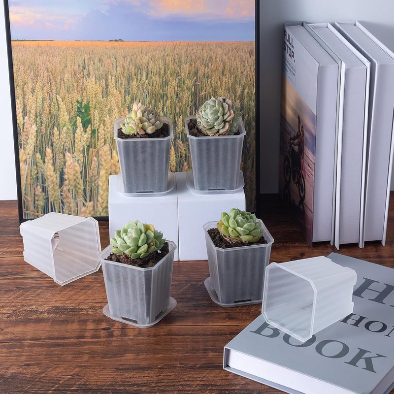 Foxany 3 Inch Clear Nursery Pots, 30 Pcs Thick Plastic Plant Pot, Square Flower Planting Pots Variety Pack, Seedling Planter Starter Pots with Saucers for Garden - Image 5